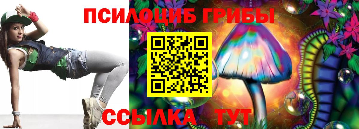 сколько стоит  Вход с VPN  Татарск  Псилоцибиновые грибы GOLDEN TEACHER  Галлюциногенные грибы Magic Shrooms 